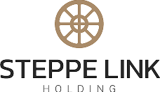 SteppeLink Holding